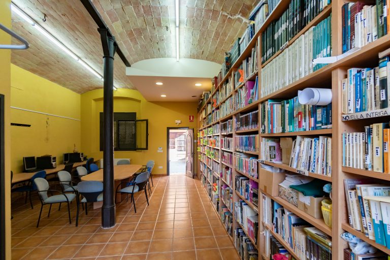 biblioteca interior1