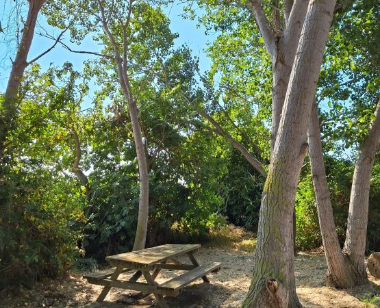 Zona poliesportiva i de picnic5