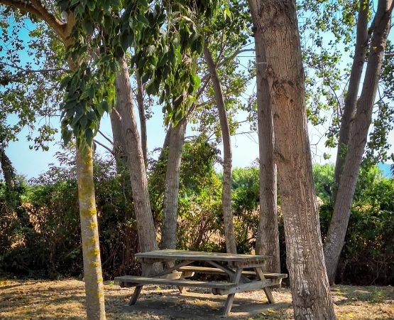 Zona poliesportiva i de picnic7