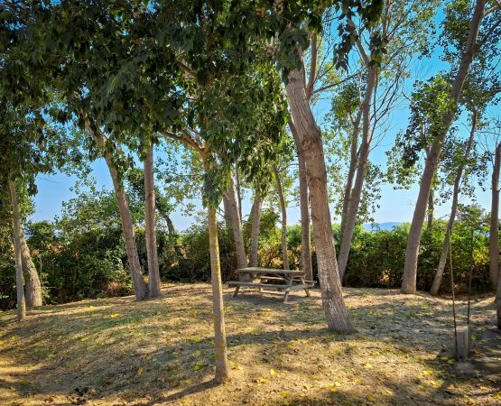 Zona poliesportiva i de picnic8