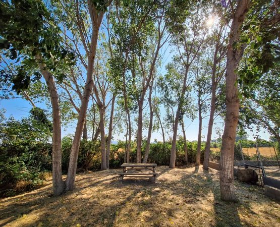 Zona poliesportiva i de picnic9